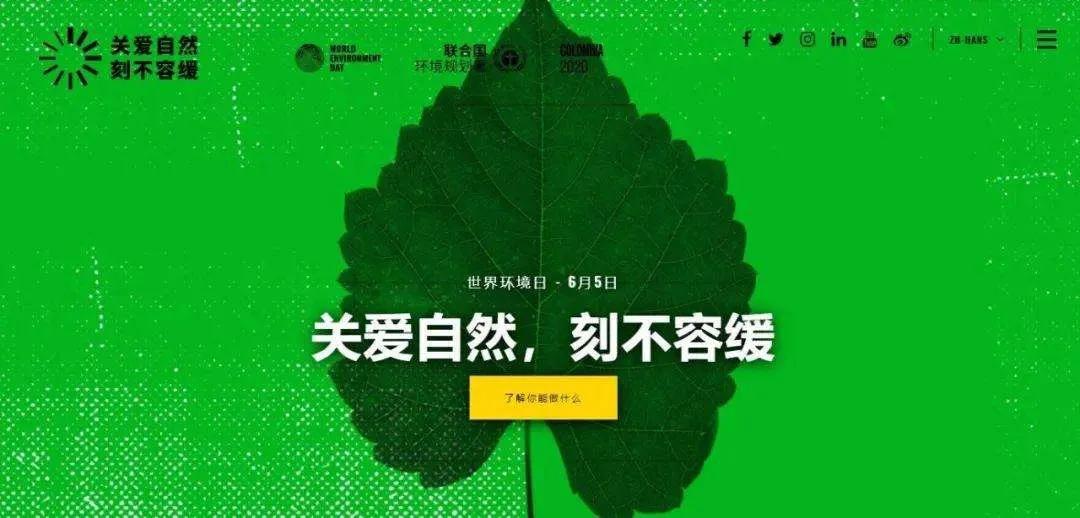 世界環(huán)境日 | 關注農(nóng)村污水治理 我們是行動者