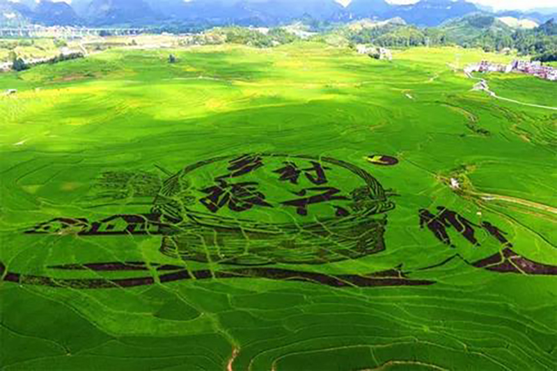 江蘇：關于加強農業(yè)農村污染治理促進鄉(xiāng)村生態(tài)振興行動計劃