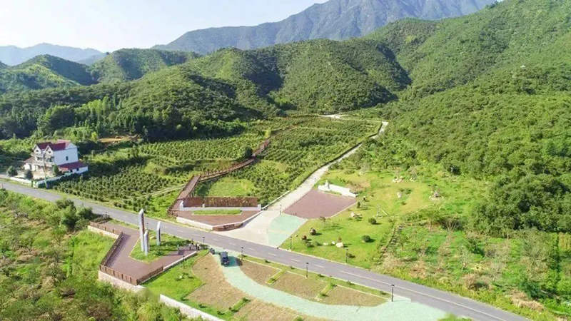 國家級示范，浙江新增4家！