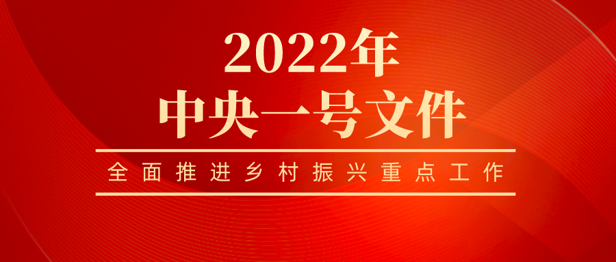 國新辦發(fā)布會解讀中央一號文件：鄉(xiāng)村振興求好不求快