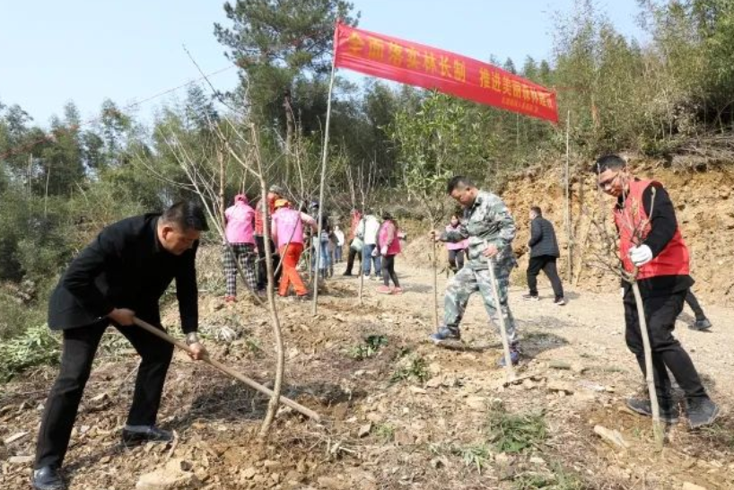 鎮(zhèn)政府向村集體認購森林碳匯抵消機關碳排放 太湖源鎮(zhèn)創(chuàng)建低碳小鎮(zhèn)又有新“玩”法