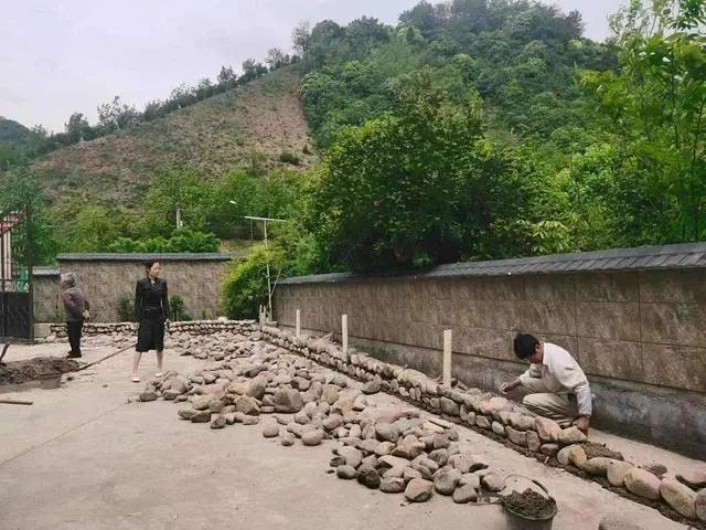 共富“重頭戲”！臨安朱灣村與九耕“牽手”打造“五星生態(tài)農場”