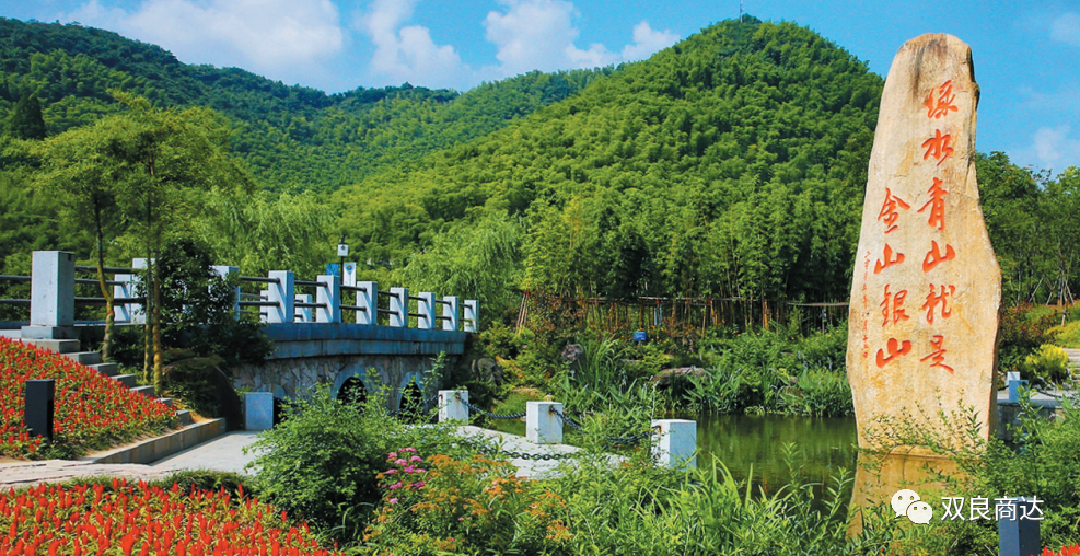 臥虎藏龍取景地，安吉大竹海！商達(dá)五鶴村農(nóng)村污水示范站點(diǎn)投入試運(yùn)行