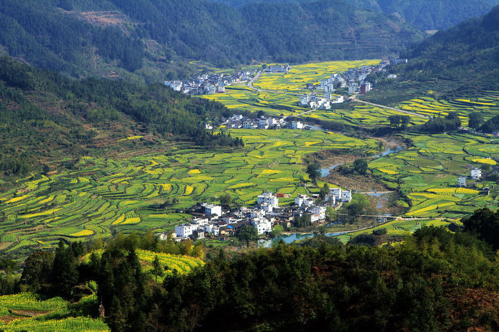 浙江?。盒略鲛r(nóng)村行政村環(huán)境整治1100個(gè)，基本消除農(nóng)村黑臭水體