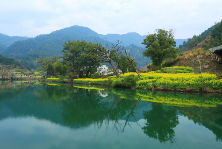 我國農(nóng)村生活污水治理政策法律體系發(fā)展現(xiàn)狀與建議