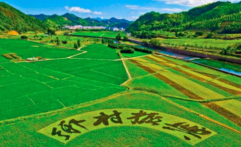 鄉(xiāng)村振興規(guī)劃實施進展如何？這場發(fā)布會劃重點：系統(tǒng)治理優(yōu)生態(tài)