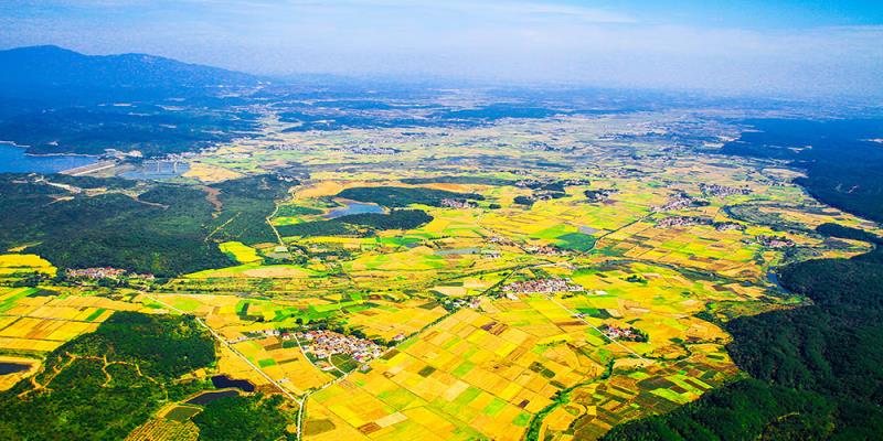 31個省區(qū)市“雙碳”目標及有關(guān)規(guī)劃