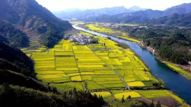 中央經(jīng)濟(jì)工作會(huì)議要求，在落實(shí)碳達(dá)峰碳中和目標(biāo)任務(wù)過程中鍛造新的產(chǎn)業(yè)競(jìng)爭(zhēng)優(yōu)勢(shì)