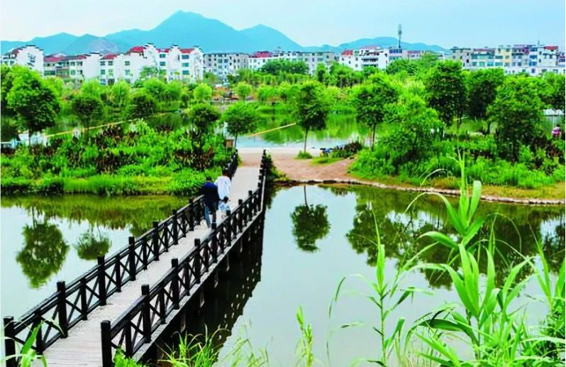 《中國環(huán)境報(bào)》頭版頭條：浙江構(gòu)建降碳、減污、擴(kuò)綠、增長整體智治體系