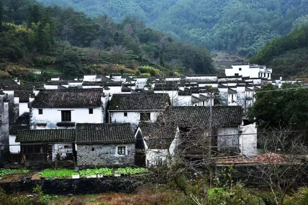 七部門(mén)明確！在農(nóng)村人居環(huán)境整治提升中統(tǒng)籌考慮減污降碳要求