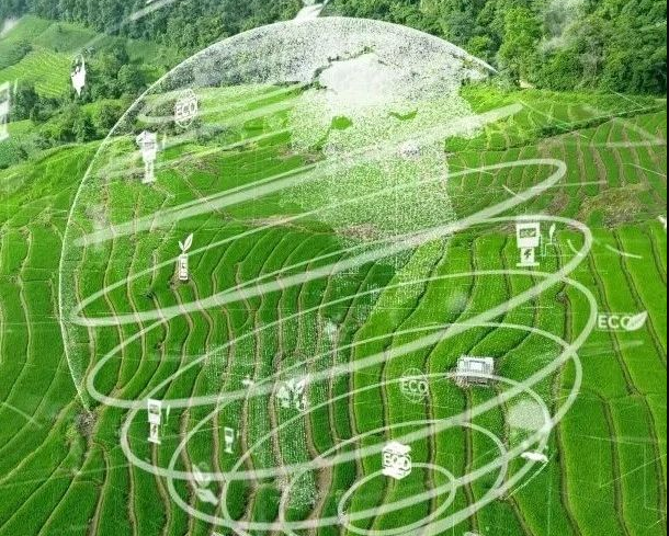農(nóng)業(yè)碳匯加速入局碳交易，農(nóng)產(chǎn)品固碳價值“變現(xiàn)”可期