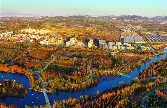 什么是農(nóng)村生活污水全域治理的“青島速度”？