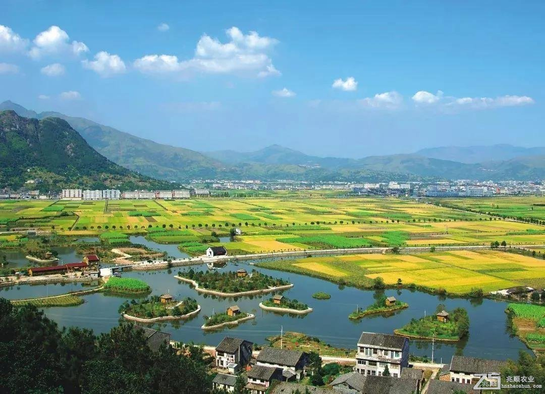 含污水處理項(xiàng)目、農(nóng)業(yè)林業(yè)領(lǐng)域，優(yōu)先選擇民營(yíng)企業(yè)參與，《關(guān)于規(guī)范實(shí)施政府和社會(huì)資本合作新機(jī)制的指導(dǎo)意見》發(fā)布