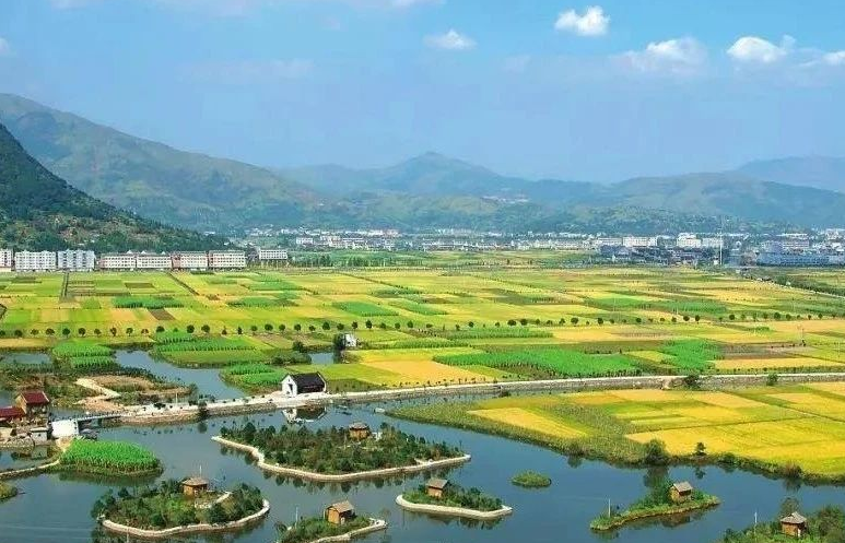 鄉(xiāng)村振興工作滯后，約談！江西省委、省政府發(fā)布《江西省鄉(xiāng)村振興責(zé)任制實(shí)施細(xì)則》