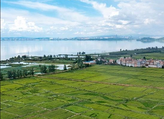 昆明：2024年，將打造農(nóng)村污水治理示范縣、示范村