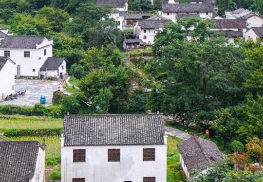 安徽六安市生態(tài)環(huán)境局發(fā)布《2024年六安市土壤、地下水污染防治和農(nóng)村生態(tài)環(huán)境保護(hù)工作要點(diǎn)》！