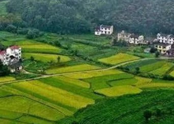 年安排3億元！福建加快推進(jìn)農(nóng)村生活污水提升治理！