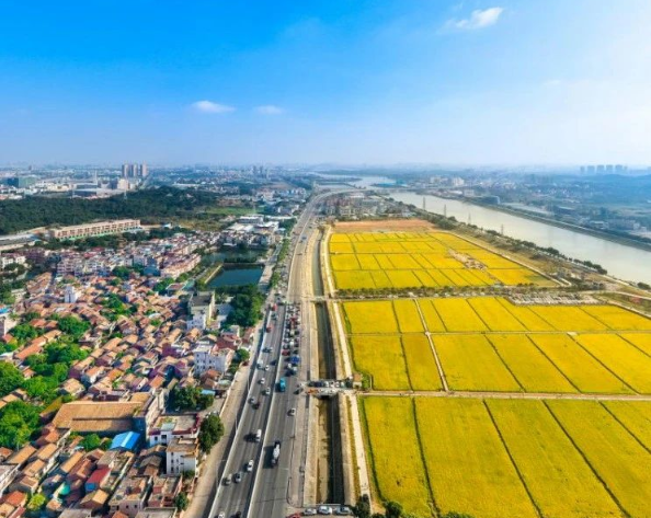 關(guān)于印發(fā)《2025年鄉(xiāng)村振興戰(zhàn)略專項省級組織實(shí)施項目（第二批）入庫申報指南》的通知
