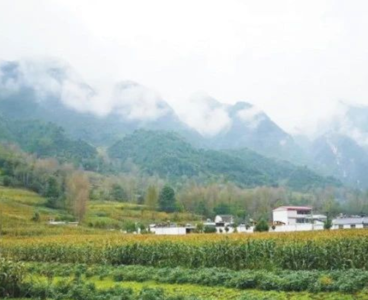 甘肅?。恨r(nóng)村生活污水治理（管控）率達(dá)到29.47%以上