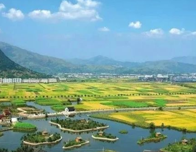 山東印發(fā)實施意見，大力發(fā)展現(xiàn)代設(shè)施農(nóng)業(yè)