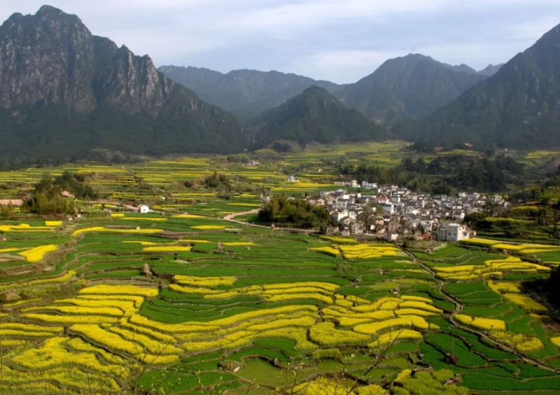 農(nóng)業(yè)農(nóng)村部有關(guān)負(fù)責(zé)人就落實(shí)《國務(wù)院辦公廳關(guān)于踐行大食物觀構(gòu)建多元化食物供給體系的意見》答記者問